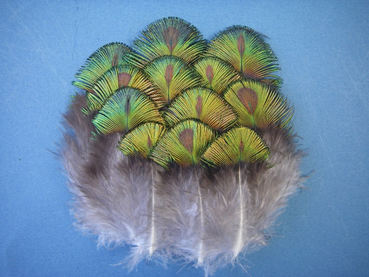 Indian Blue Peacock - Neck/Back feathers - Click Image to Close